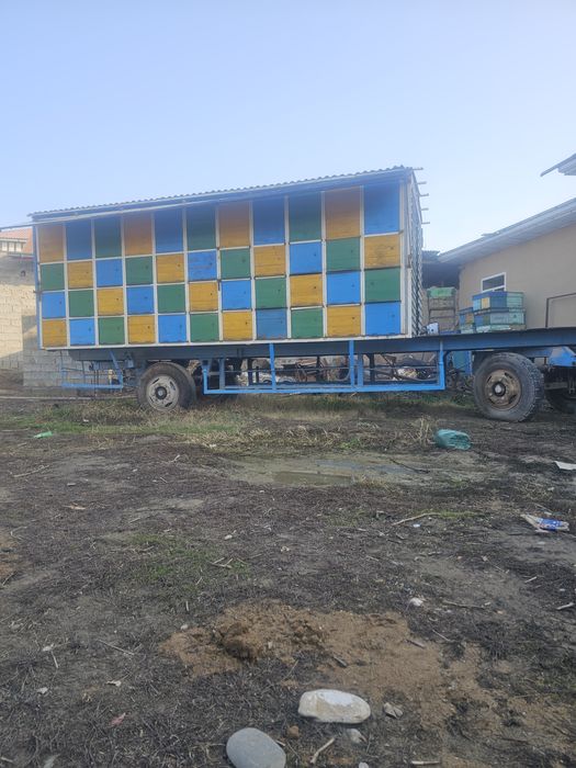 Kichik tadbirkorlik uchun