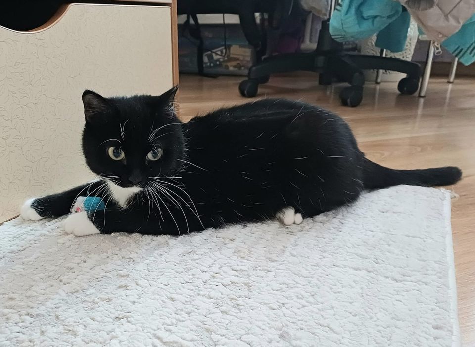 Ласковая и обаятельная мадмуазель с гарантией качества