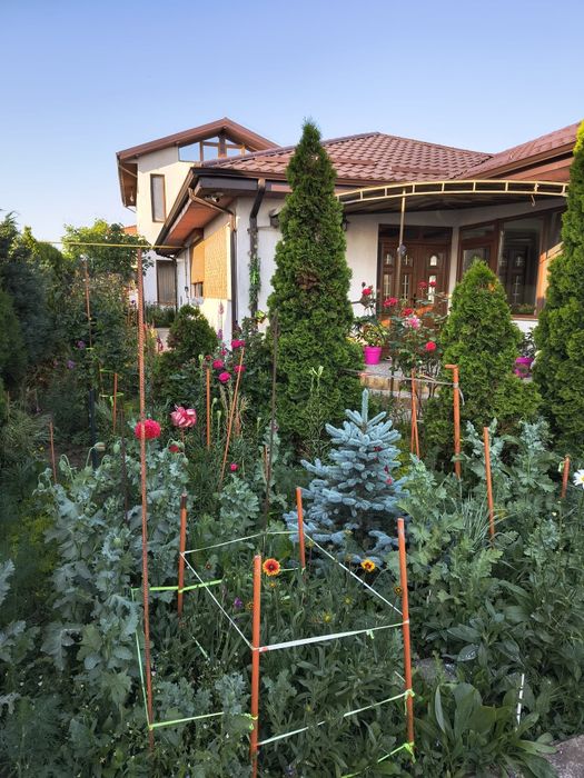 Casa Km 5 Str. Zimbrului