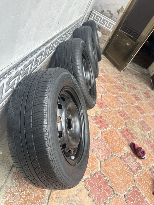 Arginal GM 4 ta Kamplekt 14