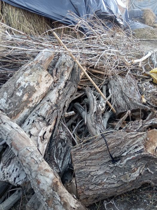 Дровларимиз сотилади таклиф этамиз.