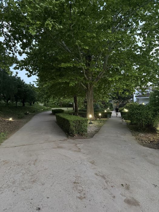 Vila petreceri aniversari teambuildinguri langa Bucuresti