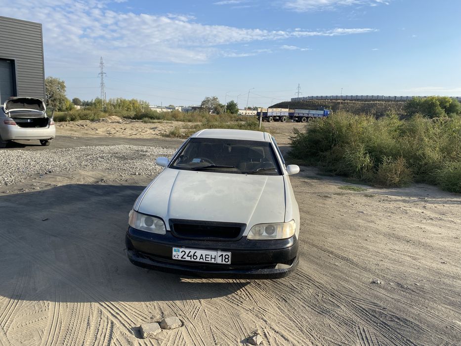 Таойиа Ариста 147