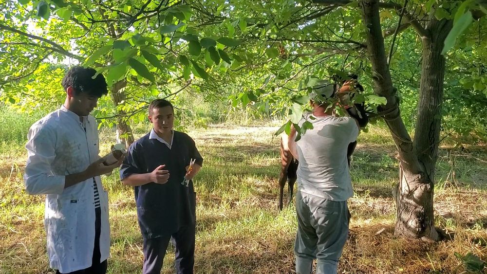 Veterinar xizmati