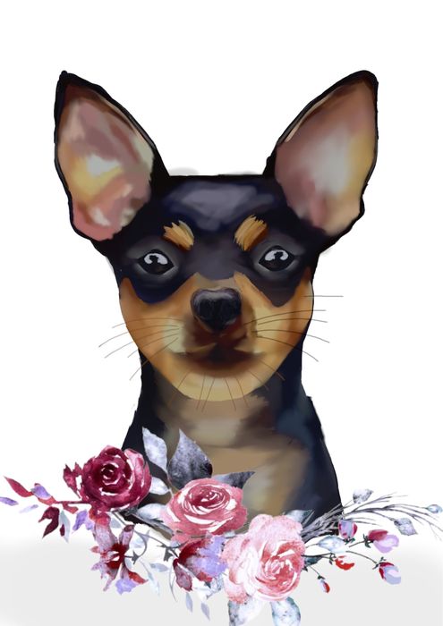 Дигитални илюстрации и карикатури