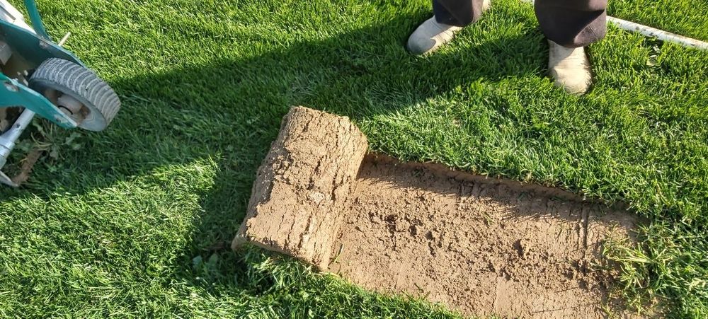 Газон и поливные системы под ключ