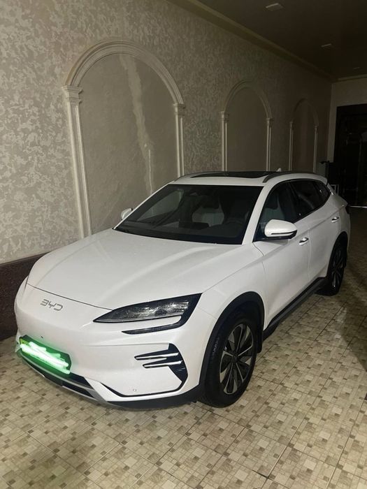 BYD chimpiyon ev 2025 madel