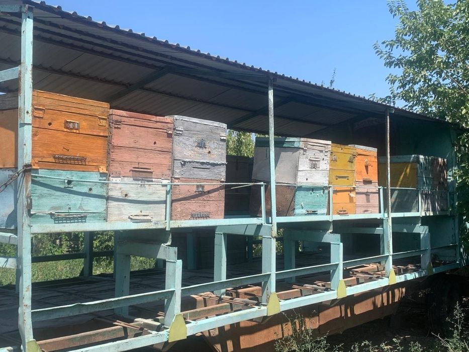 Прицеп для пасеки