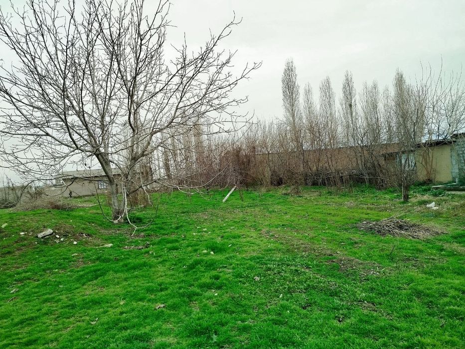 Kadastr xujjatlari joyida