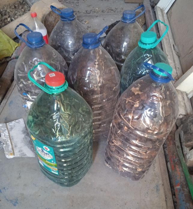 Продам Абрекозни туршак Урик коки сотилад