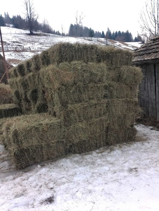 Baloți fân de munte