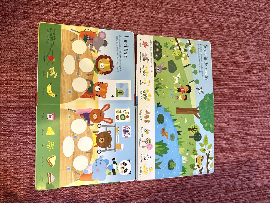 Carti Usborne Lift the Flap