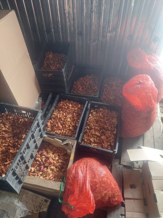 сухофрукты находимся Есике