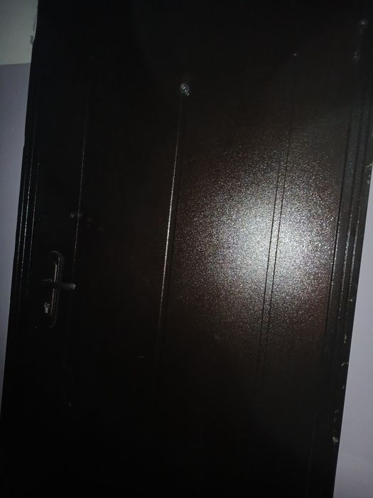 Входной дверь металлический