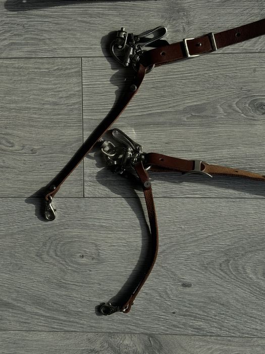 Ham foto Moselle brest