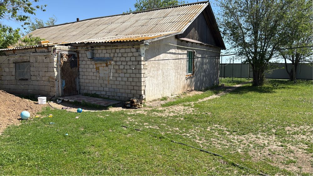 Продам хозяйство