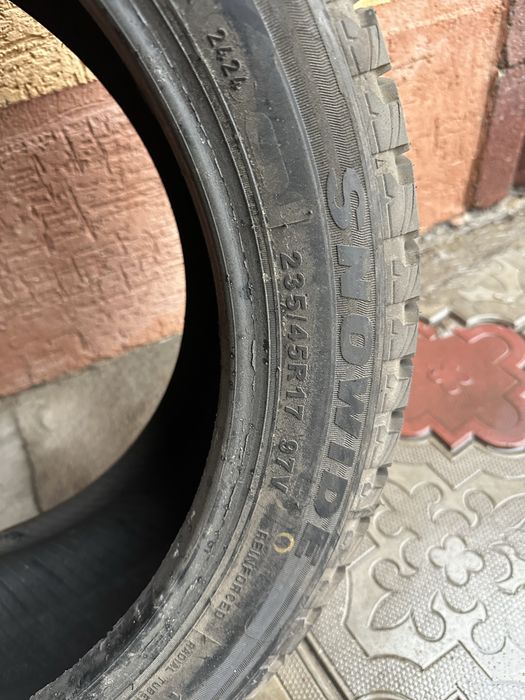 Болоный   зимний