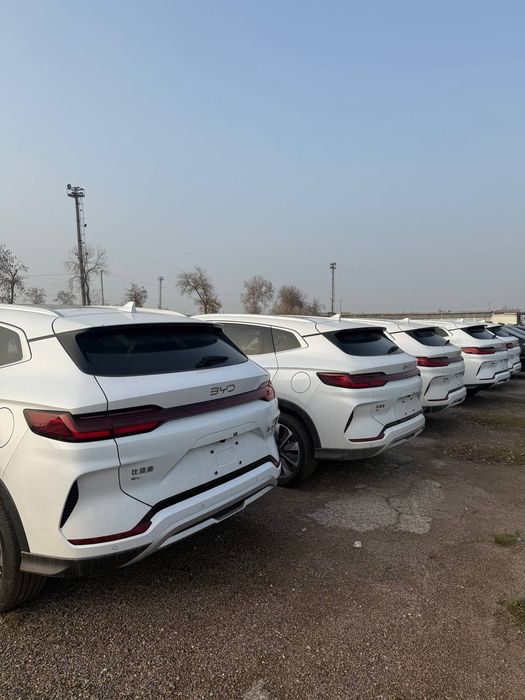 BYD chepion - 2025 Toshkentda tayyor