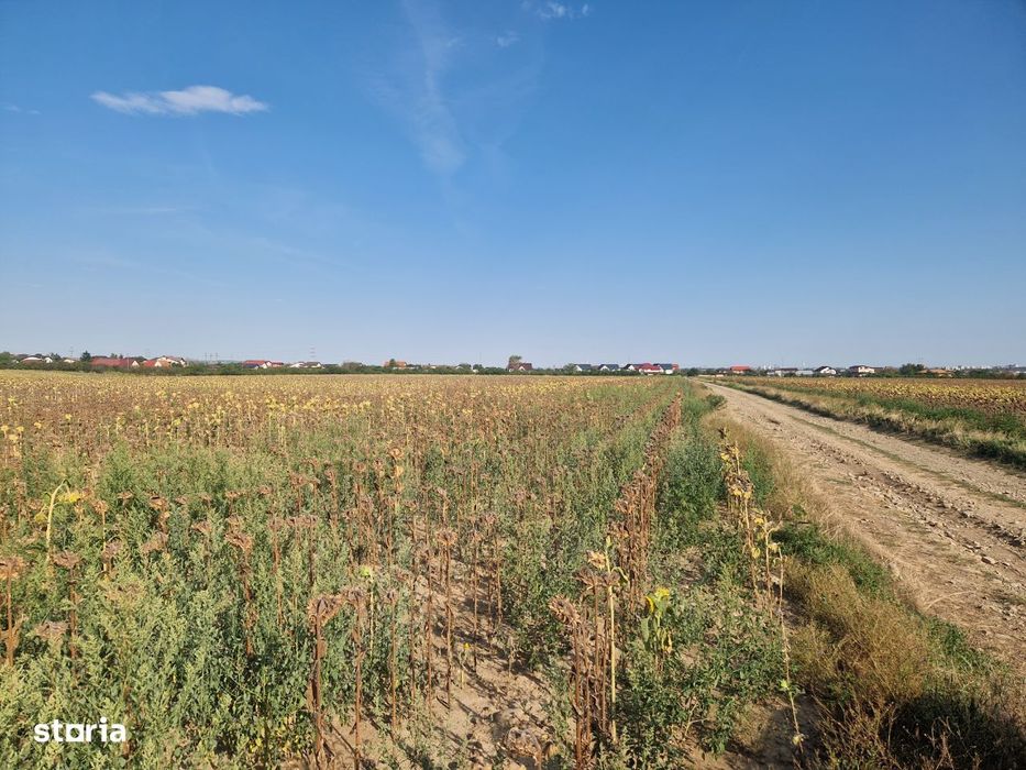 Cafrom Imobiliare - EXCLUSIV- Teren de Vanzare- Paulesti/Cocosesti