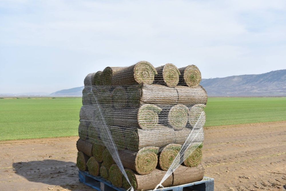Rulouri de gazon natural, gazon rulou- Ferma productie Cluj