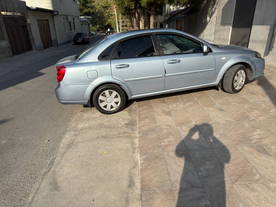 Джентра  цвет дельфин