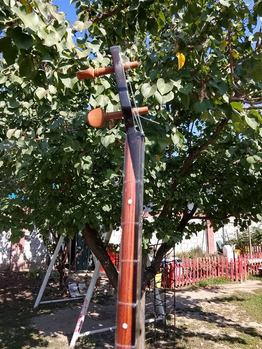 Домбыра профессиональная