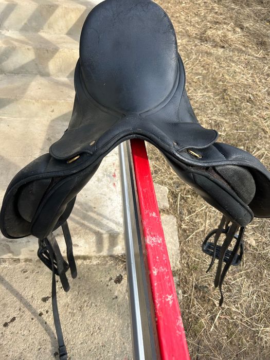 şa dresaj Wintec Isabell