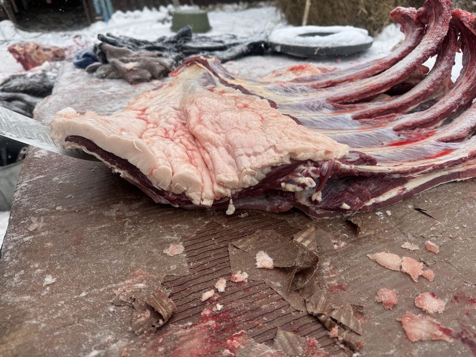 Мясо конины! Жылқы еті аяқтап