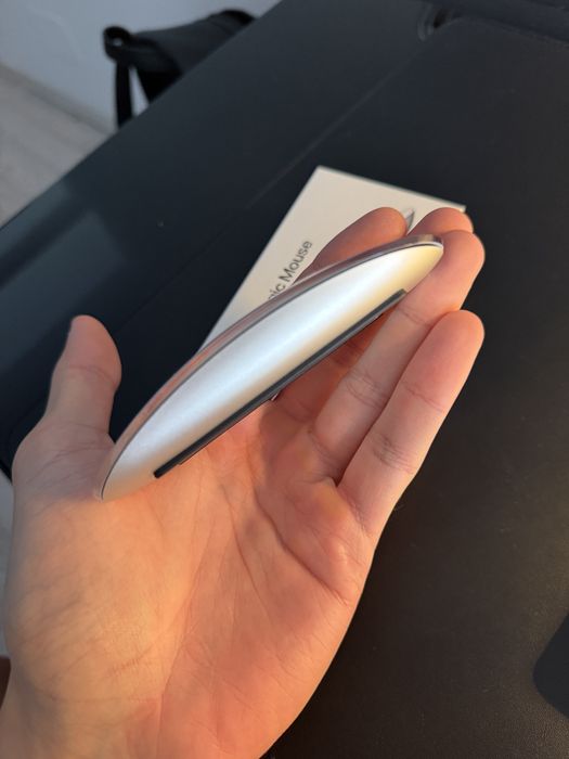 Magic mouse 3