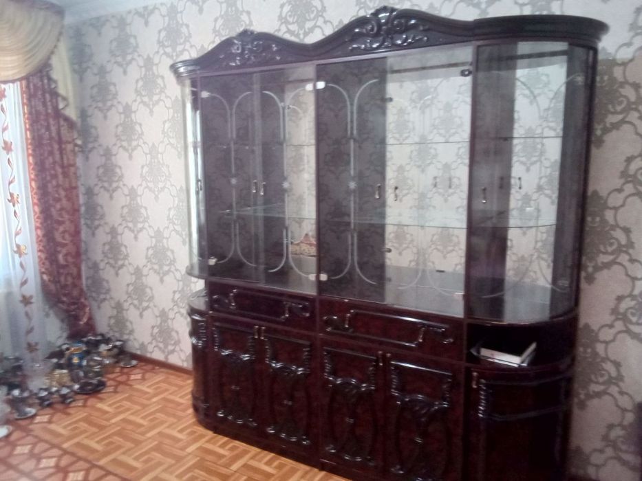 Stenka sotiladi ichidegilari bilan