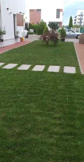 Gazonul Rulou Premium - Alegerea Perfectă pentru Grădina Ta!