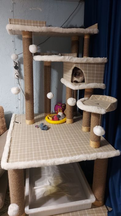 Кошачий домик в хорошем состоянии.