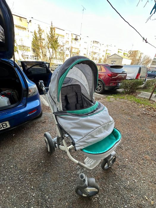 Carut Krausman Green