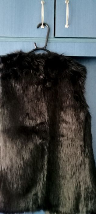 Vesta blăniță neagră
