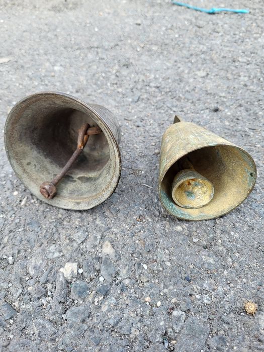 Talăngi ptr oi ( clopotei sau acioi )