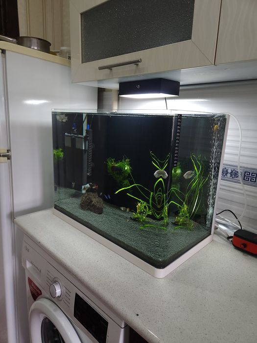 Akvarium Аквариум 86 litr