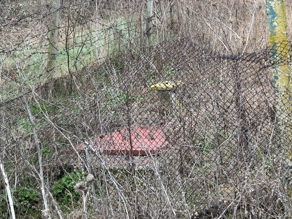 Продава се Парцел в Провадия - 1401 кв.м за 6 €/кв.м - Снимка #1