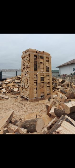 Lemne de foc fag si stejar