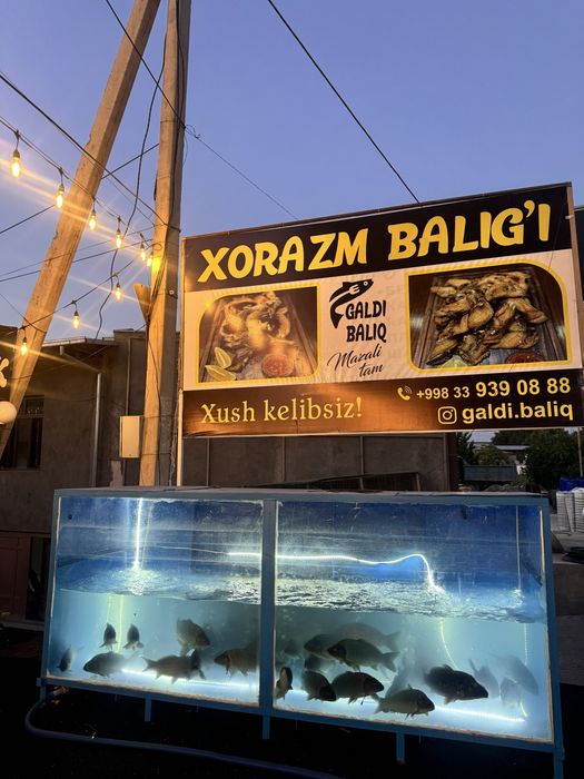 Xorazm baliq, Харезмская рыба