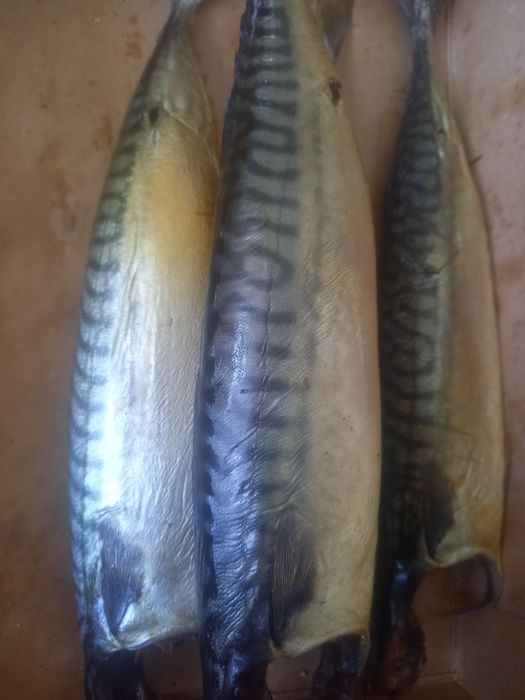 Рыба солёная,вяленая,копченая