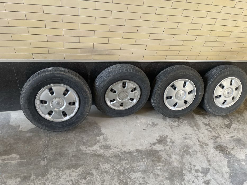 Damas balon diametor 12