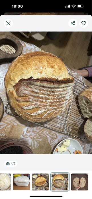 Закваска хлебная