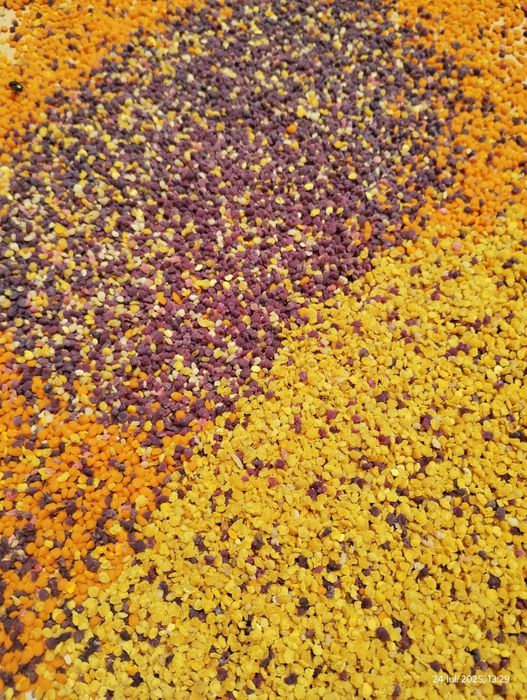 Polen crud, congelat 60 lei/kg Livram sambata in Bucuresti