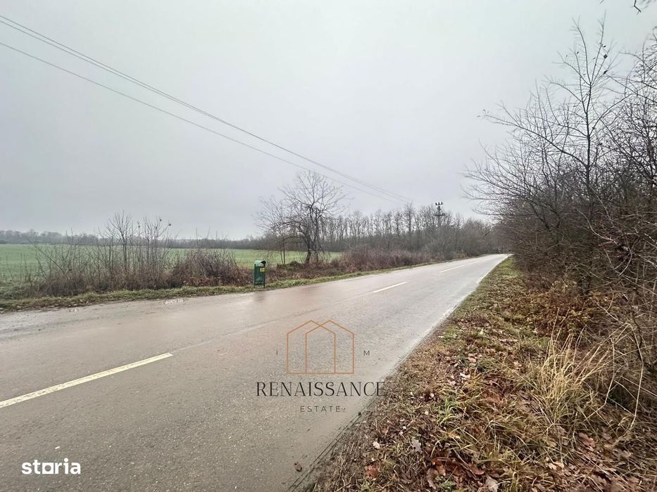 Giroc Teren 30.000mp PUZ APROBAT Pentru Case | Asfalt - Langa Padure