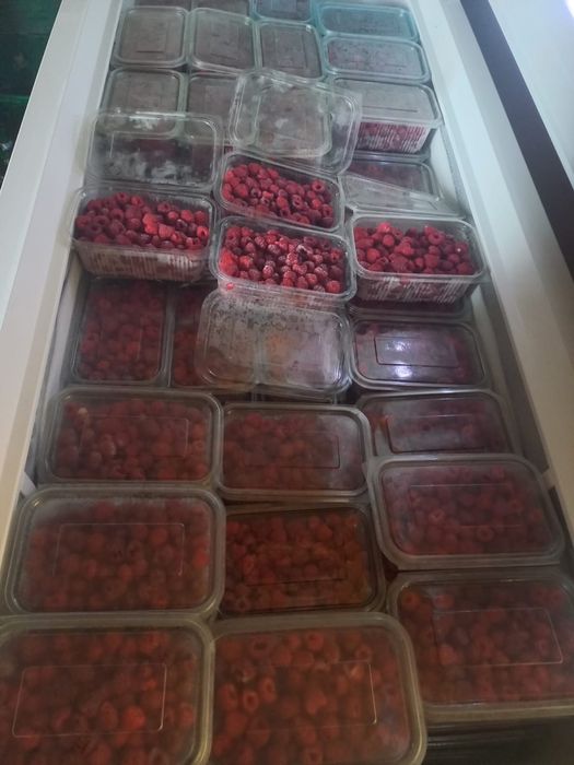 Zmeură  congelată.