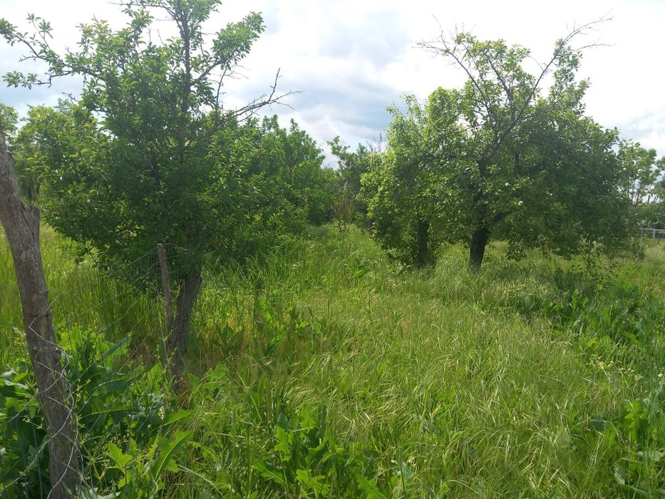 Casă de vanzare.