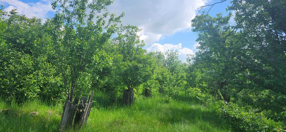 Teren Horodnic de Jos/Colnic cu vedere panoramica catre Radauti/Munti
