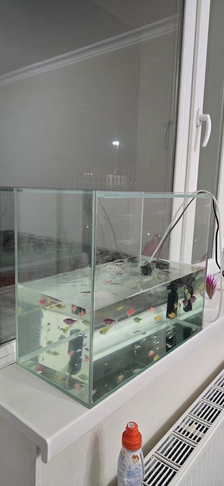 Аквариум с рыбками