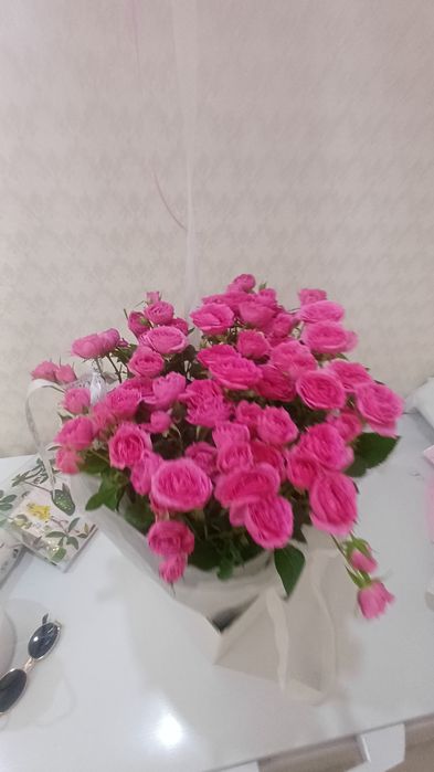 Цветыыыы астанаа