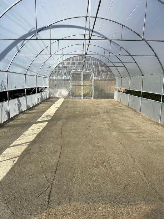 solare legume 60 ron